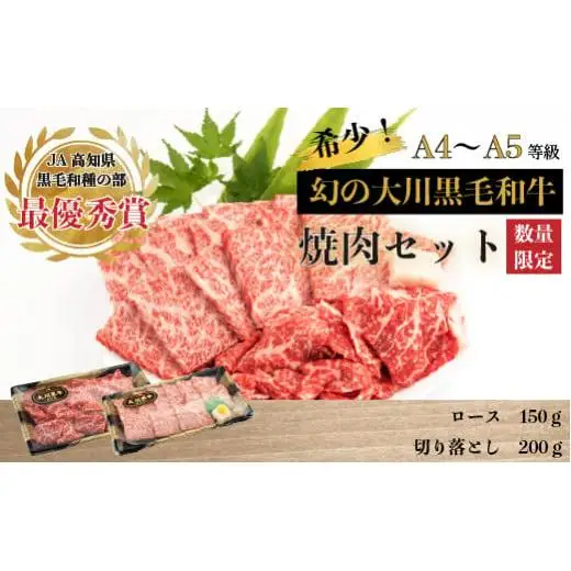 【 黒毛和牛 】 黒毛和牛ロース切り落としセット