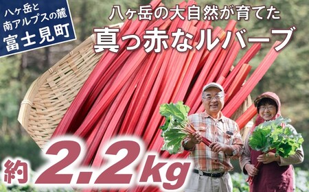 【2026年先行予約 6月より順次発送】赤いルバーブ・フレッシュ 約2.2kg ※配送不可地域あり 野菜 ルバーブ 西洋野菜 食物繊維 カリウム カルシウム ビタミンC アントシアニン かぼちゃん農園 お届け：2026年6月頃～11月初旬