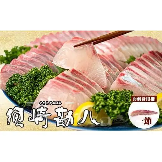 【 カンパチ 】 カンパチ1節
