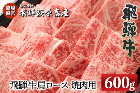 飛騨牛肩ロース  600g（焼肉用）【22-19【1】】