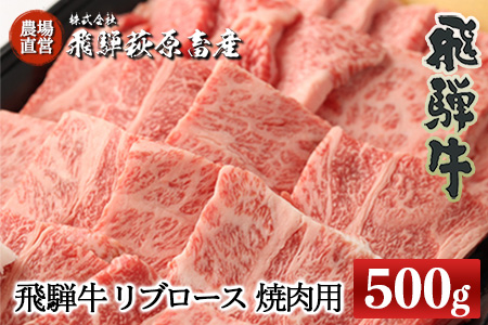 飛騨牛 リブロース 500g（焼肉用）【22-20【1】】