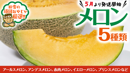 メロン5種だっぺセット【5月から順次お届け】