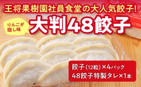 大判48餃子 F2Y-4636