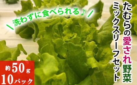洗わずに食べられる！たむらの愛され野菜　ミックスリーフセット　10個 サラダ野菜 