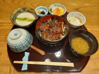 946 鰻の千代幸特産伊勢芋とろろうなとろ膳1名様分御食事券　伊勢　うなぎ　伊勢神宮　お食事券　ランチ　伊勢芋　とろろ