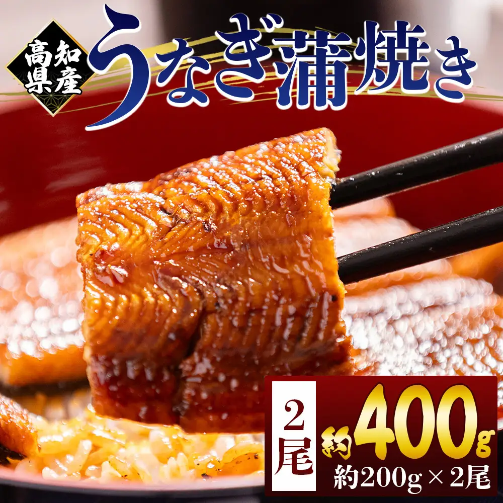 うなぎ 国産 蒲焼き 2尾 うなぎ fb-0139
