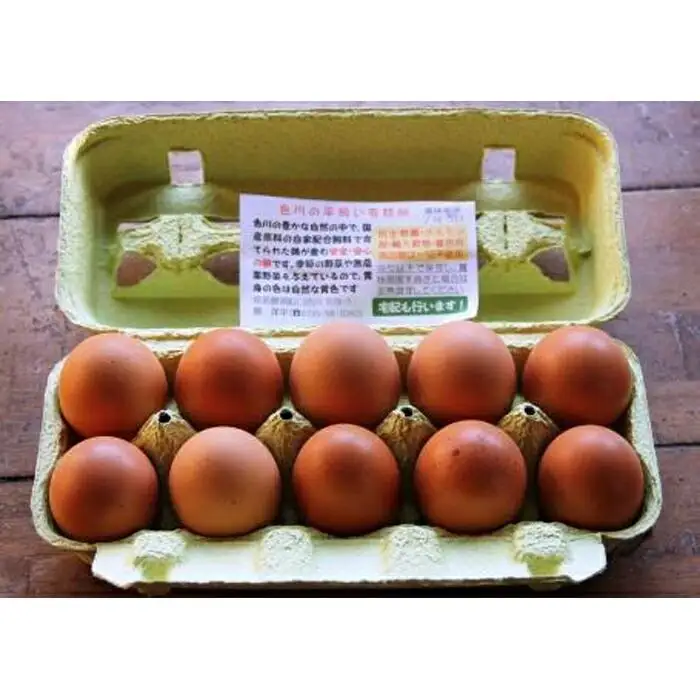 国産飼料にこだわった鶏が産む安全安心の『レモン色たまご』60個（55個＋割れ保証5個）［Hn2］