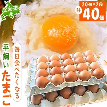 【北海道産】毎日食べたくなる平飼いたまご40個_卵・乳製品 卵  たまご タマゴ 玉子_【配送不可地域：離島】【1215857】