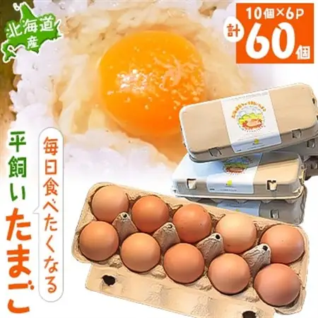 【北海道産】毎日食べたくなる平飼いたまご60個_卵・乳製品 卵  たまご タマゴ 玉子_【配送不可地域：離島】【1215858】