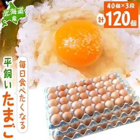 【北海道産】毎日食べたくなる平飼いたまご120個_卵・乳製品 卵  たまご タマゴ 玉子_【配送不可地域：離島】【1215862】