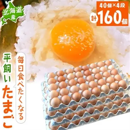 【北海道産】毎日食べたくなる平飼いたまご160個_卵・乳製品 卵  たまご タマゴ 玉子_【配送不可地域：離島】【1215863】