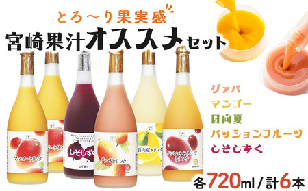 驚きの果実感！ 宮崎果汁オススメセット(720ml×6本)_K021-009