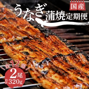 【定期便12ヶ月】国産鰻 蒲焼 2尾 320g うなぎ 沼津 鰻