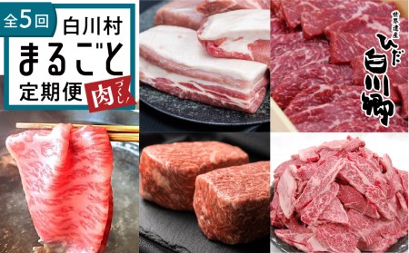 白川郷 まるごと定期便 全5回 お届け 肉 づくし 肉[S249]