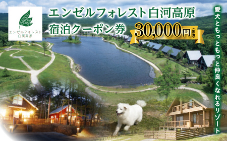 エンゼルフォレスト白河高原で使える宿泊クーポン券（30000円相当） F21T-099