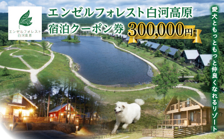 エンゼルフォレスト白河高原で使える宿泊クーポン券（300000円相当） F21T-103