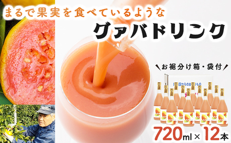 まるで果実を食べているような！グァバドリンク12本セット各720ml)_K021-014