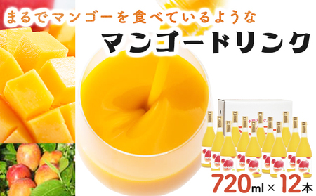 あふれる果実感！マンゴードリンク12本セット(各720ml)_K021-019