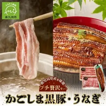 かごしま黒豚しゃぶしゃぶ用2パック・鹿児島県産ウナギ1尾のプチ贅沢セット【配送不可地域：離島】【1185970】