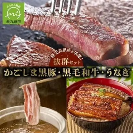 かごしま黒豚しゃぶしゃぶ用2パック・黒毛和牛サーロイン2枚・ウナギ1尾の抜群セット【配送不可地域：離島】【1185971】