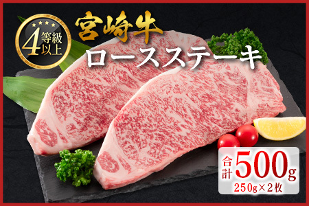 ロースステーキ 500g 肉 4等級 畜産農家応援 C346-2606-30