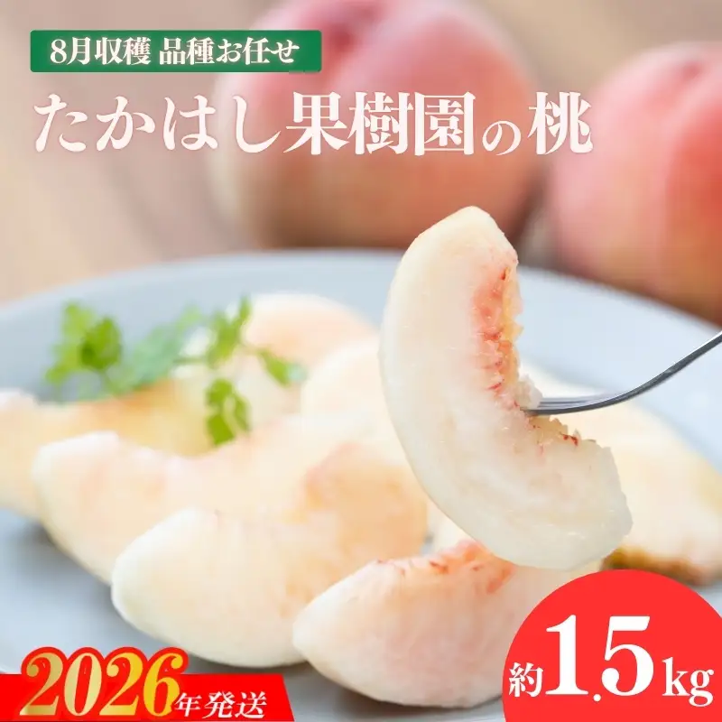 No.1905たかはし果樹園の桃　8月収穫約1.5kg【2026年発送 先行予約】