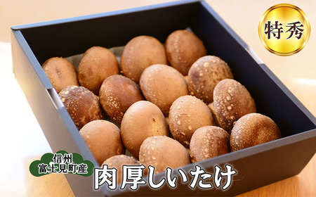 【特秀】純国産　肉厚しいたけ | 栄農人