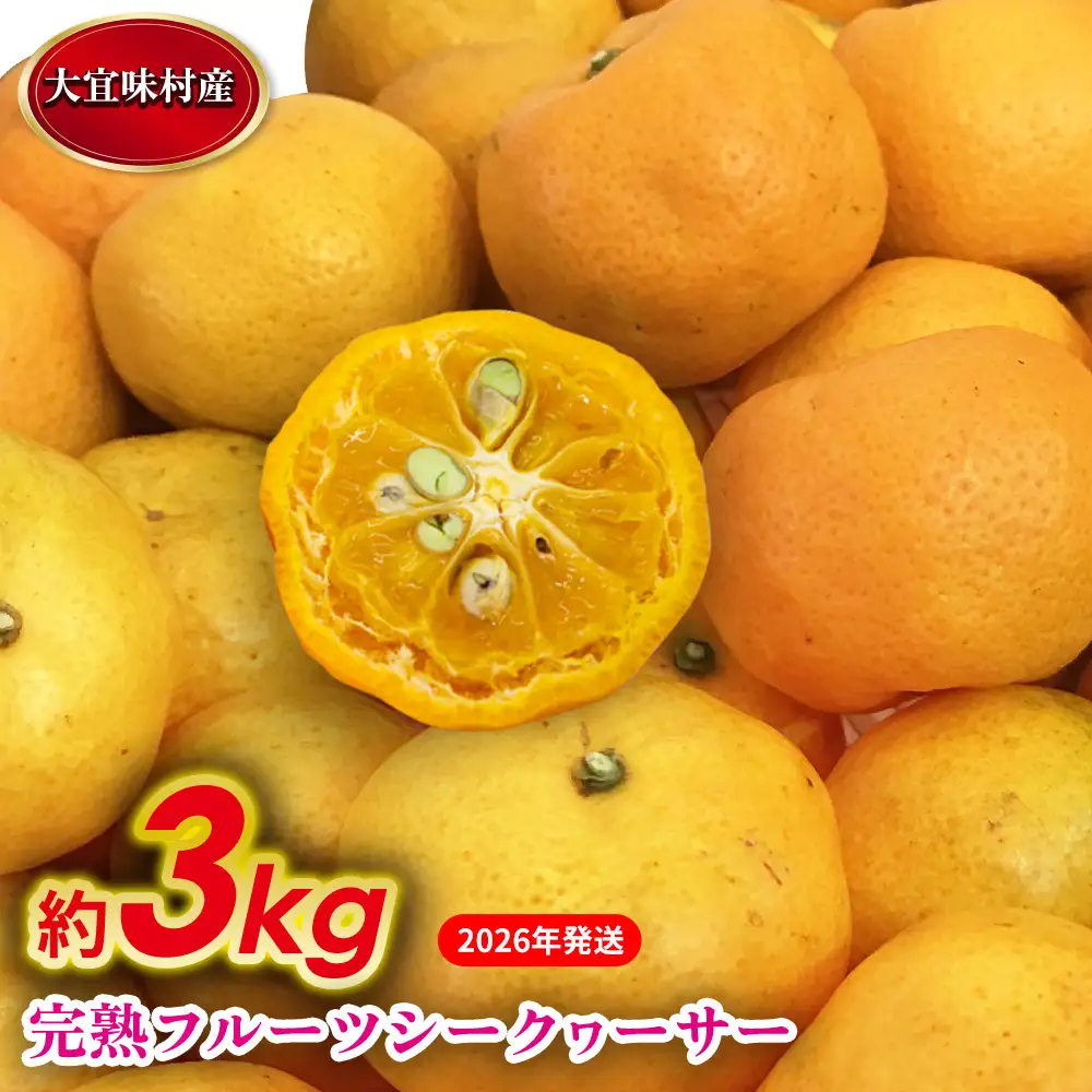 【2026年発送】完熟フルーツシークヮーサー 約3kg 沖縄 おきなわ 大宜味村 果物 くだもの 果実 シークワーサー しーくわーさー 完熟 沖縄県産 産地直送 お取り寄せ 人気 食品 送料無料 国産 県産 ご当地 やんばる ノビレチン