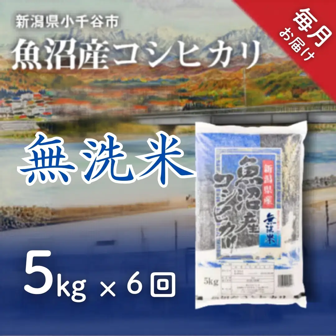 魚沼産コシヒカリ 無洗米 30kg 新潟県 |おこめ 5キロ×6回 毎月 定期便 特A評価 無洗