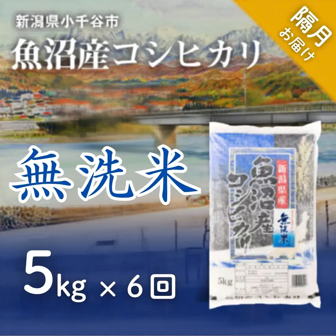 魚沼産コシヒカリ 無洗米 30kg 新潟県 |おこめ 5キロ×6回 隔月 定期便 特A評価 無洗