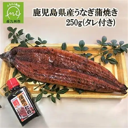 鹿児島県産うなぎ蒲焼き250g(タレ付き)【配送不可地域：離島】【1185973】