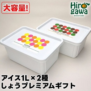 ▼しょうプレミアムギフト アイスクリーム 南高梅＆ベルギーチョコ / 業務用 大容量 ギフト お中元 母の日 父の日 敬老の日 アイス アイスクリーム ジェラート シャーベット ソルベ セット 熨斗 クール 冷凍便 和歌山 お土産【sho116-p-nc】