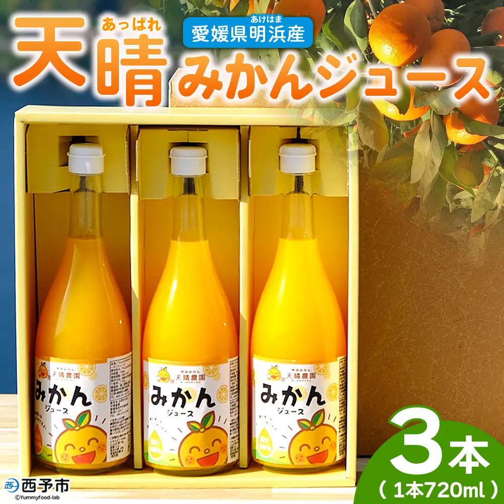 ＜愛媛県明浜産 天晴みかんジュース 720ml×3本セット＞ 蜜柑 みかん ミカン 果物 オレンジ 果汁 ジューシー フルーツ 温州みかん 飲料 ジュース 飲み物 セット 濃厚 株式会社笑丸 特産品 愛媛県 西予市 【常温】 『1か月以内に順次出荷予定』 AAN0007