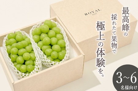 甲州市産 大粒シャインマスカット2房入り 約1.3kg 自然農法【2026年発送】(BNC）D5-110 シャインマスカット フルーツ