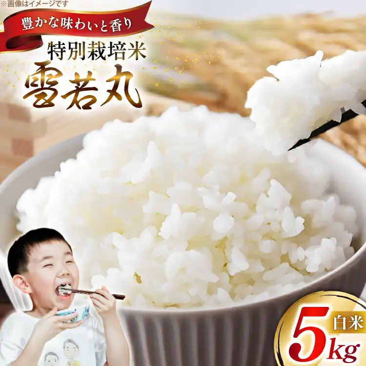 米 令和7年 特別栽培米 雪若丸 5kg [遠藤農園 山形県 高畠町 tk06ayt120000]