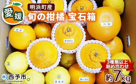 愛媛県明浜産 旬の柑橘 宝石箱（3種類以上詰め合わせ）約7kg＞※2027年2