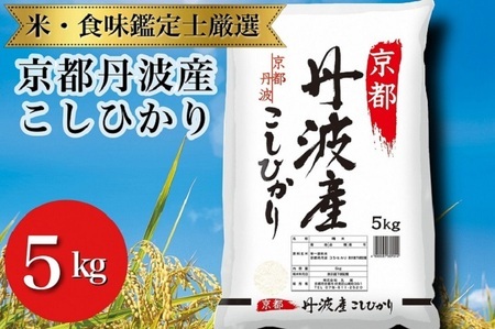 京都丹波産こしひかり 5kg 精米 白米
