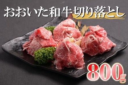 おおいた和牛 切り落とし 合計800g （200g×4パック） | 豊後牛 小分け バラ 焼肉 すき焼き 切落し 切落とし 肉質 4等級以上 お肉 肉 おにく にく 牛 牛肉 和牛 国産 九州産 大分県産 冷凍 大分県 中津市 送料無料