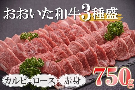 おおいた和牛 3種盛 カルビ ロース 赤身 合計750g （250g×3） | 豊後牛 焼肉 焼き肉 肉質 4等級以上 小分け お肉 肉 おにく にく 牛 牛肉 和牛 国産 九州産 大分県産 冷凍 大分県 中津市 送料無料