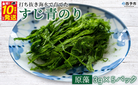 ＜打ち抜き海水で育てた「すじ青のり」（原藻3g×5パック）＞ 甲殻類アレルギーフリー 色づけ 香りづけ お好み焼き たこ焼き 焼きそば 天ぷら おはぎ ピザ 佐藤真珠 愛媛県 西予市【常温】『最短10営業日以内に順次発送予定』ASS0001