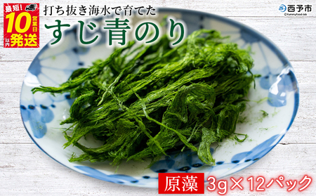 ＜打ち抜き海水で育てた「すじ青のり」（原藻3g×12パック）＞ 甲殻類アレルギーフリー 色づけ 香りづけ お好み焼き たこ焼き 焼きそば 天ぷら おはぎ ピザ 佐藤真珠 愛媛県 西予市【常温】『最短10営業日以内に順次発送予定』ASS0003