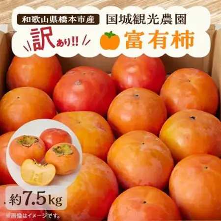 国城観光農園の富有柿(家庭用・訳あり)約7.5kg_果物・フルーツ 柿（カキ）  かき_【1281482】