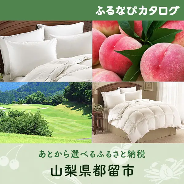 【有効期限なし！後からゆっくり特産品を選べる】山梨県都留市カタログポイント