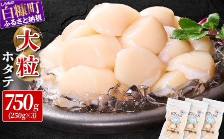 ＼高評価 4.9／ ホタテ 大サイズ (3S) 750g ( 250g × 3 ) オホーツク産 お刺身用_K012-0714-2507