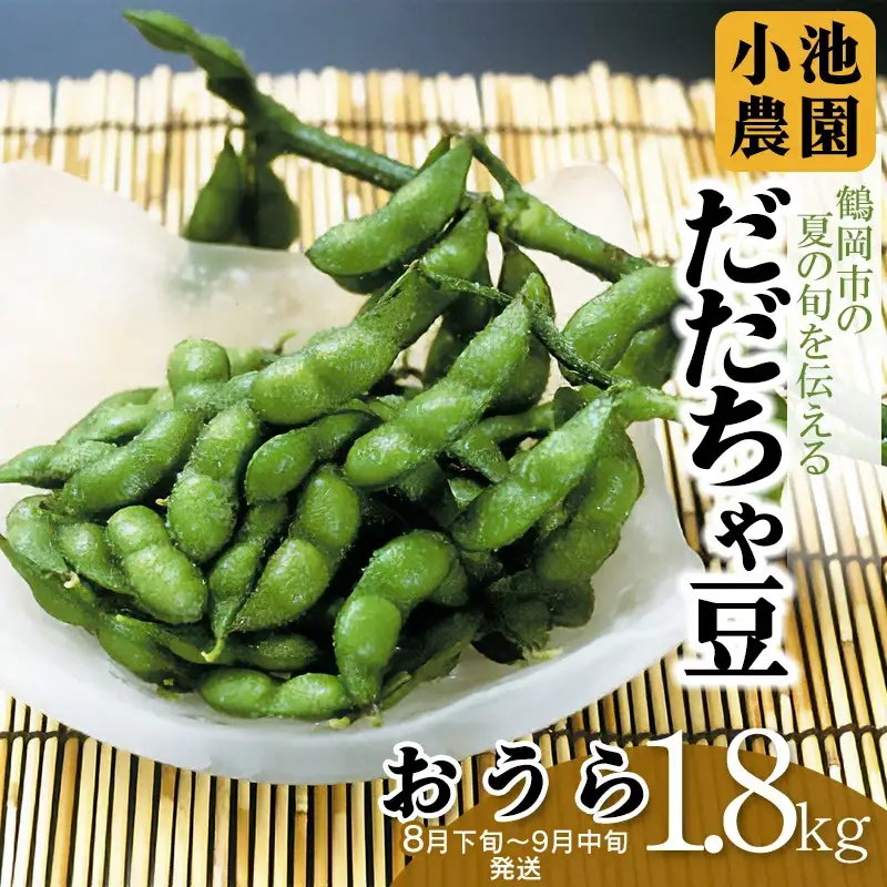 【令和8年産先行予約】【鶴岡の夏の旬を伝える】 小池農園のだだちゃ豆 【おうら】 1.8kg（600g×3袋）K-832