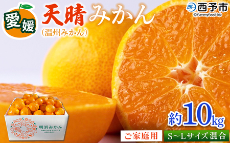 ＜愛媛県明浜産 天晴みかん（温州みかん）約10kg S～L混合＞ 家庭用 訳あり ワケアリ 果物 くだもの フルーツ ミカン 柑橘 特産品 笑丸 愛媛県 西予市【常温】『2026年11月中旬～2027年1月上旬迄に順次出荷予定』AAN0022