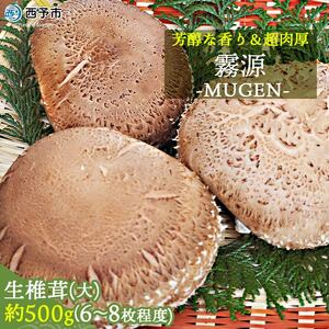 芳醇な香り＆超肉厚 愛媛県産原木椎茸「霧源（MUgEN）」 NYJ0001