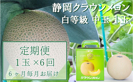 クラウンメロン【並（白等級）】中玉（1.3kg前後）1玉入り 定期便6ヶ月 人気 厳選 ギフト 贈り物 デザート グルメ 果物 袋井市 果物類 メロン青肉 フルーツ 6回 半年