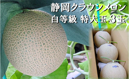 クラウンメロン【並（白等級）】特大玉（1.5kg前後）3玉入り 人気 厳選 ギフト 贈り物 デザート グルメ 果物 袋井市 果物類 メロン青肉 フルーツ