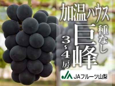 JAフルーツ山梨 甲州市産ハウス種なし巨峰3～4房【80】【2026年発送】C-105 巨峰 フルーツ